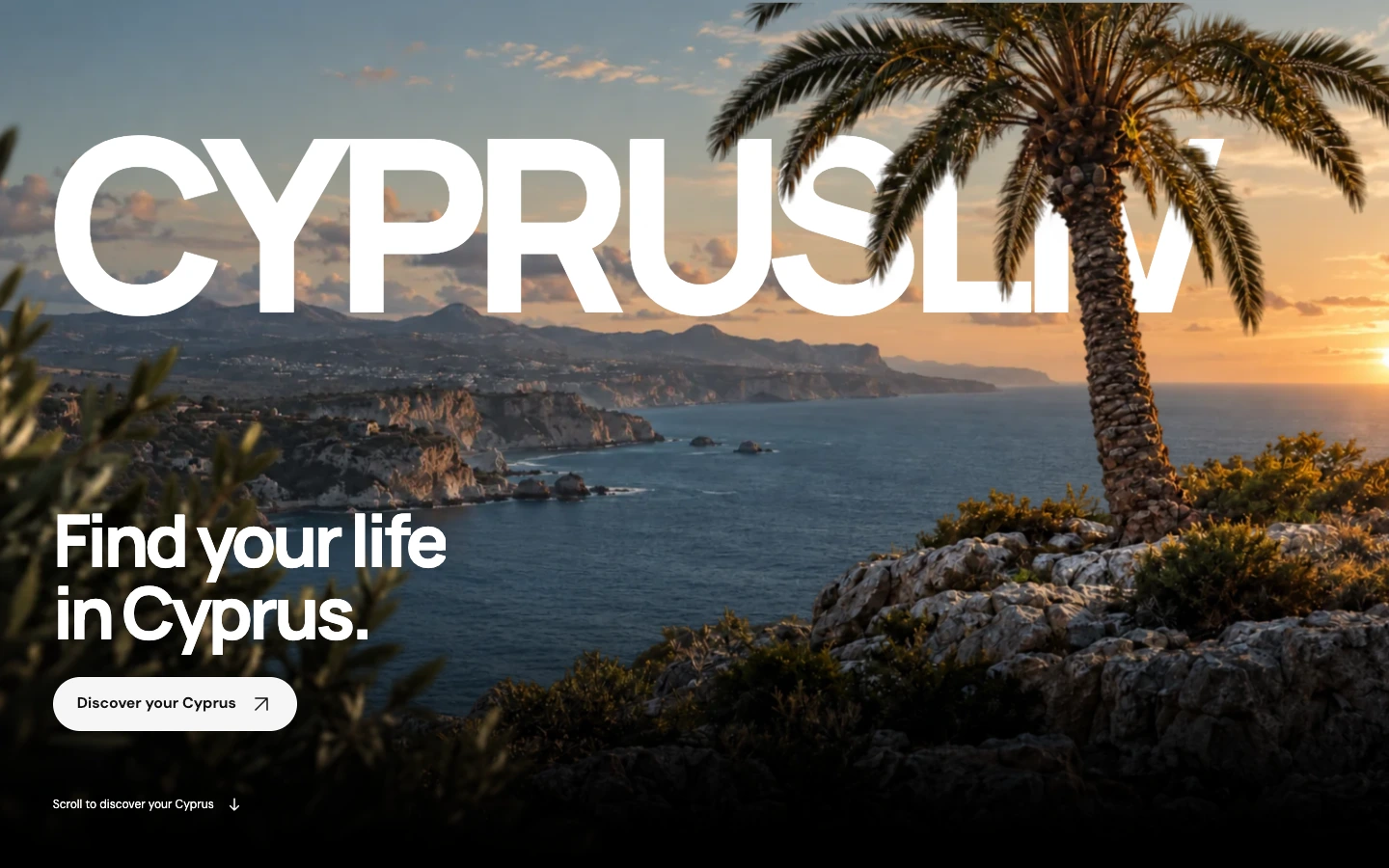 Originaler CYPRUSLIV-Websiteentwurf mit großer Typografie, Küste und Palme